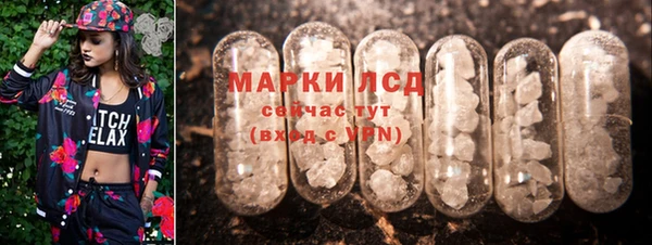 ПСИЛОЦИБИНОВЫЕ ГРИБЫ Алексин